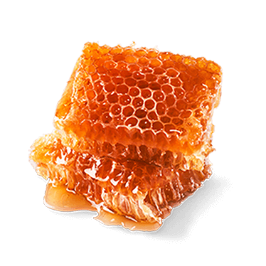 Mel Depuratum Ad (Madu)