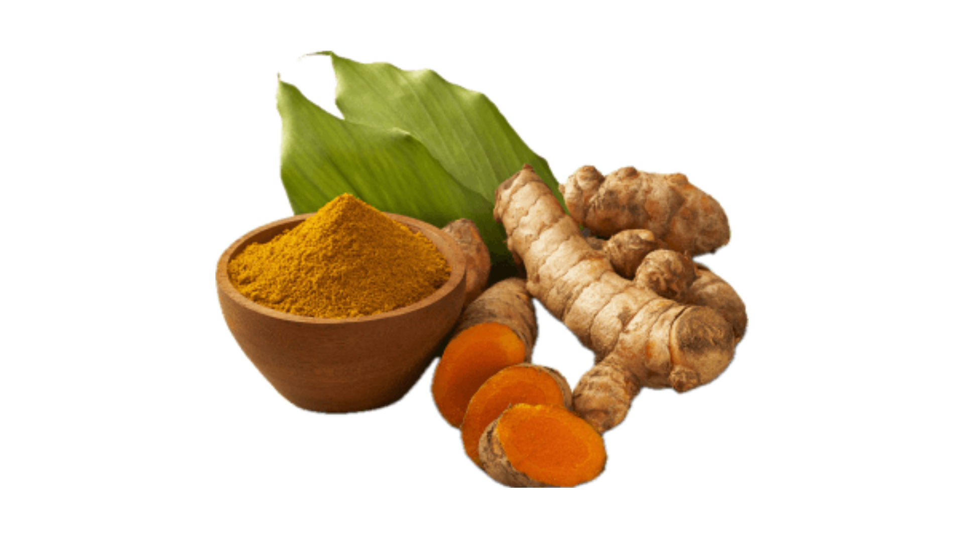 Curcuma Longa (Kunyit)