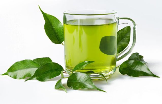 Teh Hijau (94.75 mg / 15 ml)
