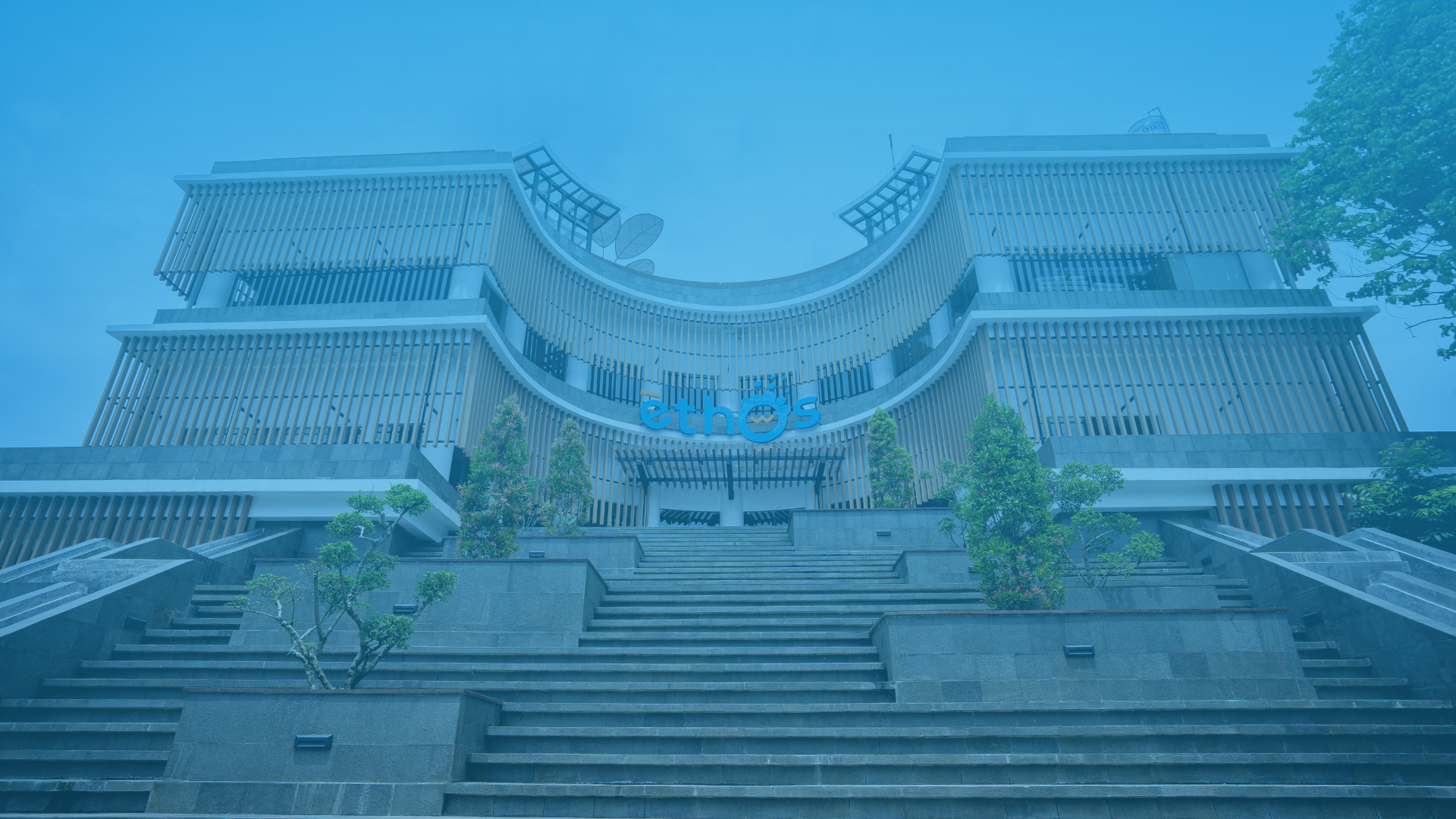 History Background 1