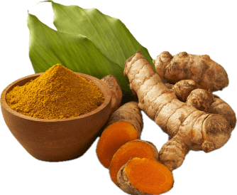 Curcuma Longa
