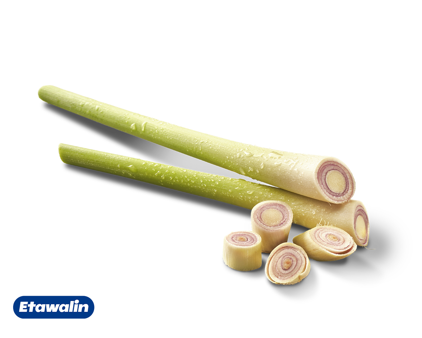 Cymbopogon citratus (Sereh)