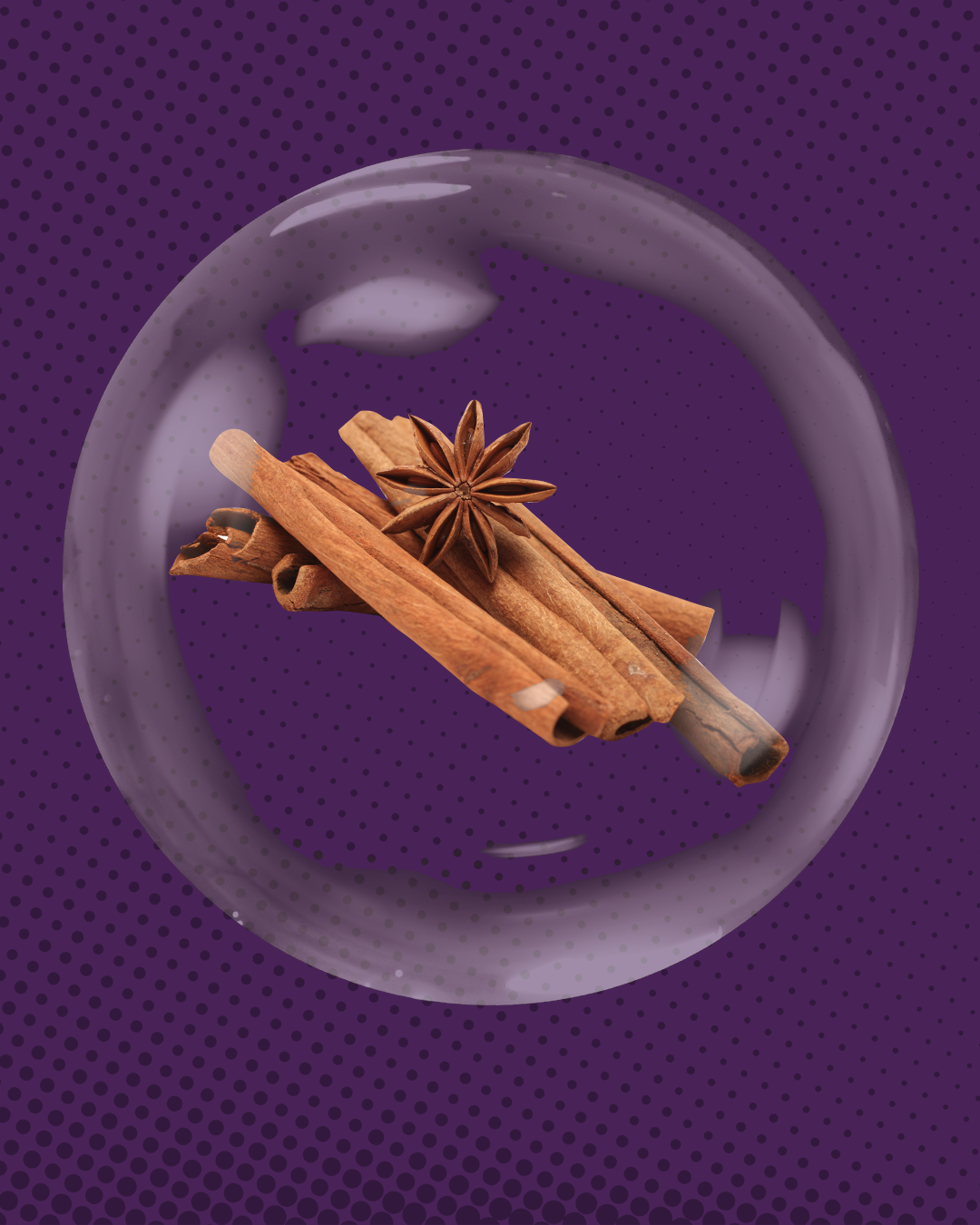 Cinnamomum Burmannii Cortex Ekstrak (Kayu Manis)