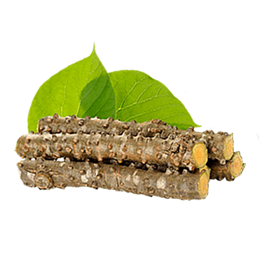 Tinospora Crispa Caulis Ekstrak (Bratawali)