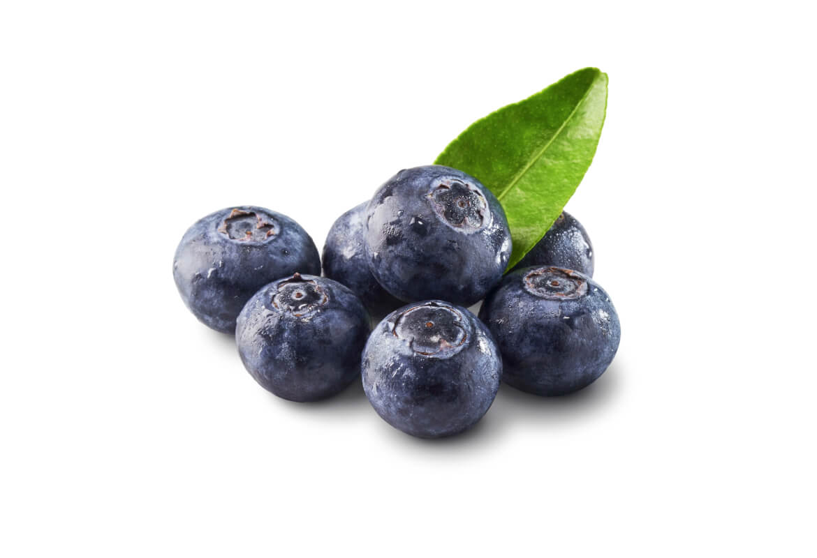 Vaccinium Corymbosus Fructus Ekstrak (Ekstrak Blueberry)